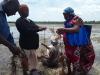Bending the Curve: Overhaul Global Food Systems to Avert Worsening Land Crisis