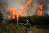 Wildfires in Madrid burn 26 horses to death as record-breaking heatwave sweeps across Europe