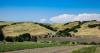 Agri-business can stay protected as climate risk reshapes insurance markets | Guest Commentary