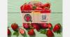 Belgium: Delhaize ends use of plastic containers for strawberries
