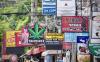 Thailand’s Cannabis U-Turn wins tourism backing