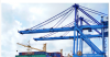 Lamu port records shipping surge as large vessels boost traffic