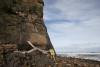 Chile’s Coastal Erosion Could Erase 10 Beaches within 10 Years