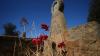 Grave by grave, a new project in divided Cyprus tries to mend mistrust