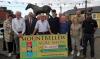 Something for everyone at this year’s Mountbellew Agricultural Show