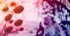 Mpox Crisis Deepens: Scientist Warns “We Need To Get Things Under Control”