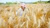Resist American pressure but reform Indian agriculture