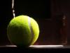 Zimbabwe’s do-or-die Davis Cup clash against Algeria: A battle to defy the odds