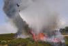 Wildfires across southern Europe force evacuations and kill firefighters