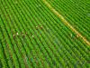 Developing Integrated Approaches to Human Rights, Climate, and Nature