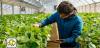 Biobest Acquires Vancouver-based Ecoation Technology Following Restructuring Proposal in April