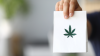 Canada: Nearly Eight in Ten Consumers Say They Obtain Cannabis Exclusively From Legal Markets