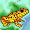 Scientists Utilize Climate Data to Map and Predict Spread of Amphibian Chytrid Disease