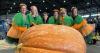The Anchorage Weekender: The Alaska State Fair, so many concerts and 8 more local events