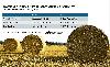 Spring bumper hay crop followed by dry fall in Arkansas
