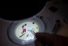 High Microplastic Levels Found on Costa Rica Beaches, Study Shows