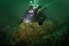 Research divers uncover 16 British cannons off Germany's Heligoland