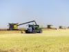 Rural municipalities declare agricultural states of emergency amid drought conditions