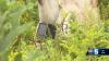 Vermont famers say new technology is changing the state's agriculture industry