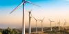 Construction of Mannar Wind Power Plants Temporarily Suspended