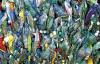 Scientists urge ambitious global plastics treaty to protect health