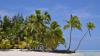 ‘The new Tahiti’: Cook Islands emerge as latest Aussie tourist hotspot and only a five hour flight from Sydney