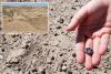 2.65 million-year-old fossil teeth unearthed in Ethiopia opens up current understandings of human evolution