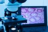 StatLab expands European presence with acquisitions in Germany, France