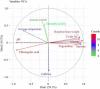 How the Environmental Factors Influence Bean Quality in Ethiopian Arabica Coffee