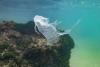 Search for common ground: World plastic pollution treaty talks collapse with no deal