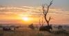 Africa travel is booming - but here's how to do it the right way