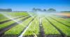 Policy briefs” to safeguard agriculture in Tunisia!