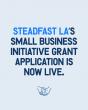 Steadfast LA Small Business Initiative Grant Application Live