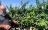 Desert flavors are revived after Oct. 7 at a southern Israel winery, brewery and kitchen