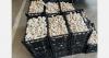 Kosovo Police seize 910 kg of smuggled mushrooms