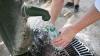 Heatwave alert: Luxembourg braces for prolonged high temperatures until Friday