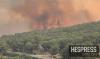 Morocco contains wildfire that burned 500 hectares near Chefchaouen