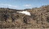 Authorities Guilty of Complacency over North Macedonia’s Phosphogypsum Dump