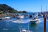 Oregon Coast Tuna Overflows at Garibaldi Event This Weekend
