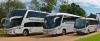 Your Ultimate Guide To Bus Travel In Paraguay