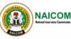NAICOM calls for stronger consumer-focused insurance practices