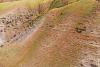 International scientists call for urgent global food systems reform...