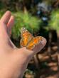 Delaware Botanic Gardens to host first iNaturalist Bioblitz Aug. 21-24