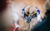 Tallinn to celebrate Restoration of Independence Day with events across the city
