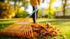 Can You Burn Leaves In Your Delaware Yard? Here's What To Know