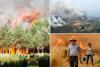 Spain, Portugal and Greece battle raging wildfires amid grueling heatwave