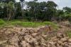 Scientists sound alarm about unprecedented conditions in the Amazon: 'Should be taken seriously'