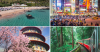 Everyone is traveling to Japan. Here's why you should book a trip to Taiwan instead