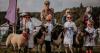 The agricultural show that Beatrix Potter loved
