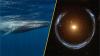 Science news this week: Black holes galore and blue whales that still sing